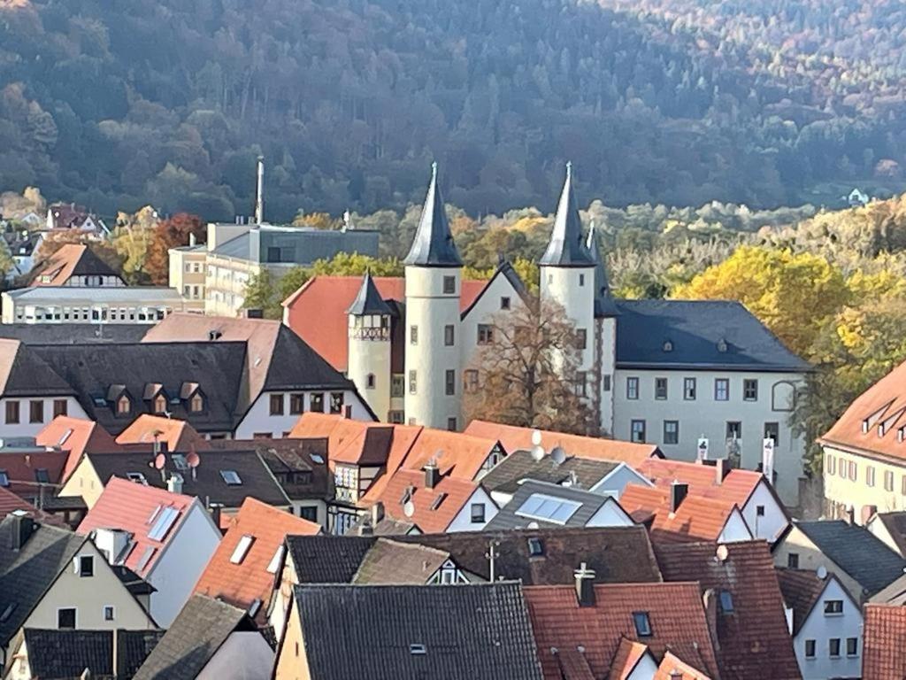 LohrWohnen Im Springerhofアパートメント エクステリア 写真