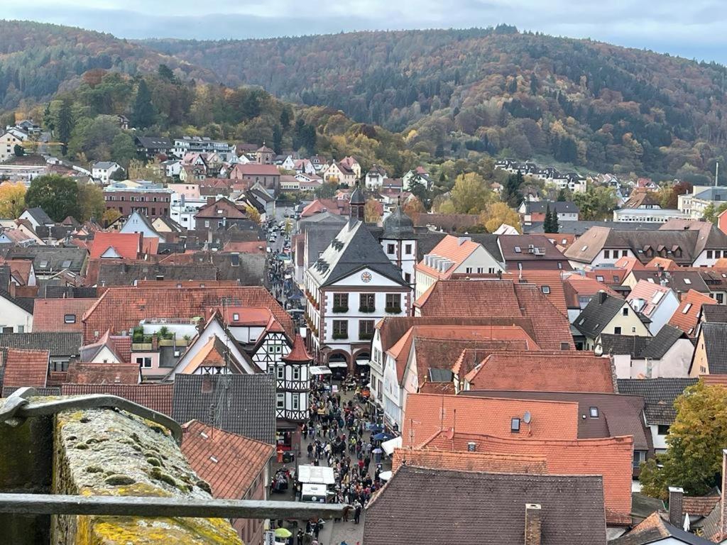 LohrWohnen Im Springerhofアパートメント エクステリア 写真