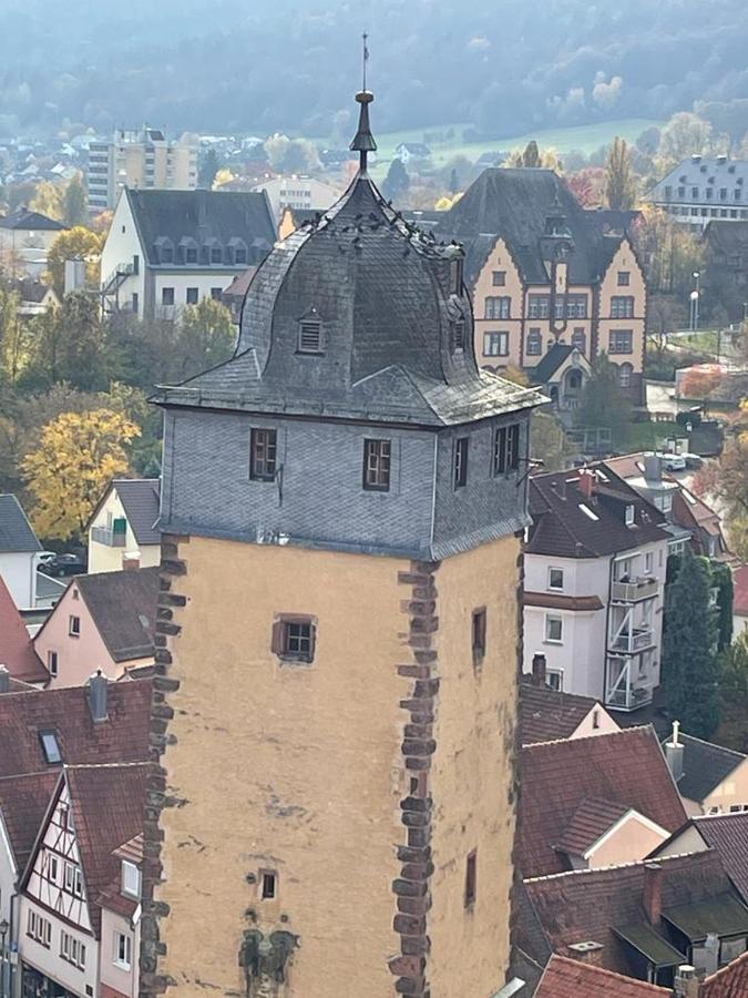 LohrWohnen Im Springerhofアパートメント エクステリア 写真